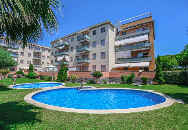 Apartamento en Cambrils - SOL MILLET  52 A 1 2 Apartamento en Cambrils - SOL MILLET  52 A 1 2