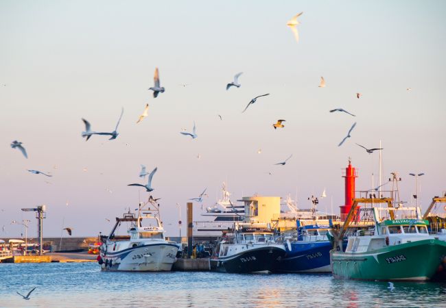 Villa en Mont-Roig del Camp - Villa Rustical 14 Costa Dorada Villa en Mont-Roig del Camp - Villa Rustical 14 Costa Dorada