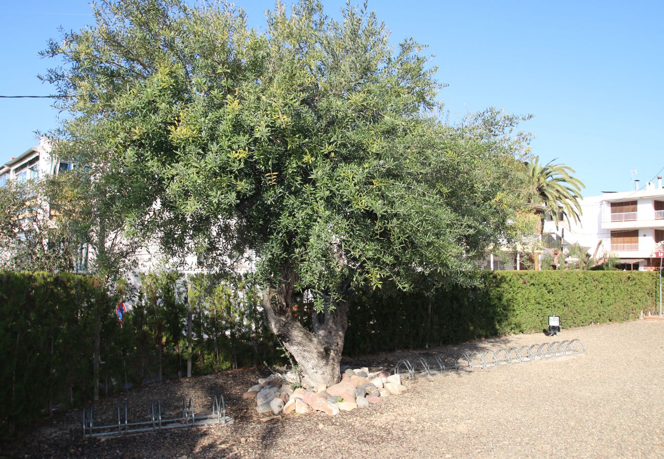 Apartamento en Cambrils - Apartamento Badia