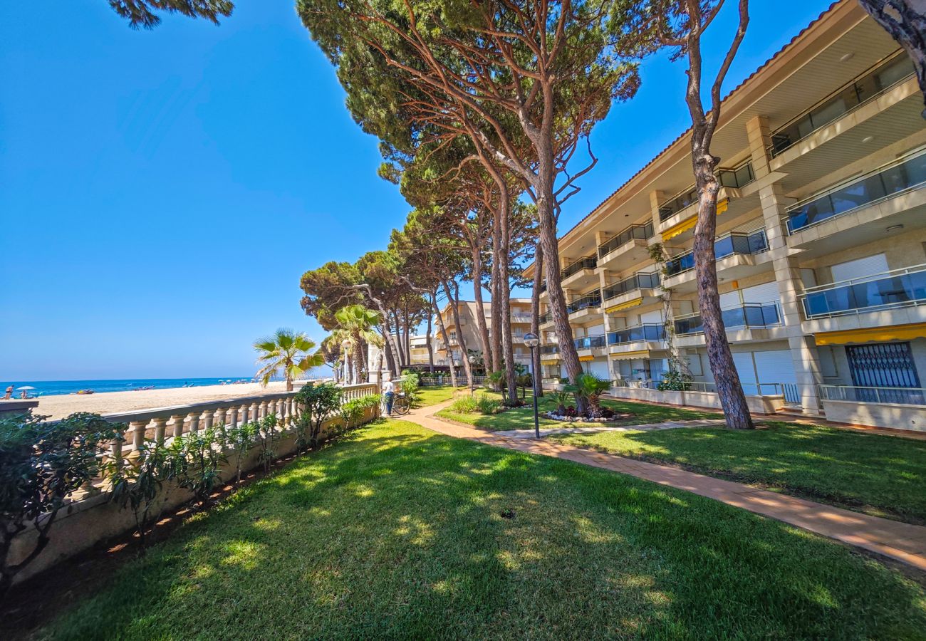 Apartamento en Cambrils - VERSALLES C 1 1