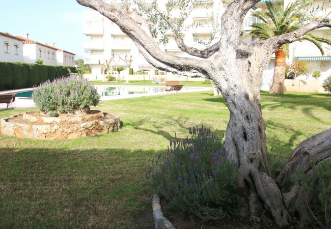 Apartamento en Miami Playa - Apartamento Los Pelicanos Apartamento en Miami Playa - Apartamento Los Pelicanos