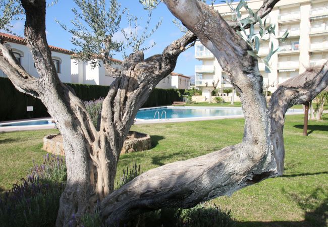 Apartamento en Miami Playa - Apartamento Los Pelicanos Apartamento en Miami Playa - Apartamento Los Pelicanos