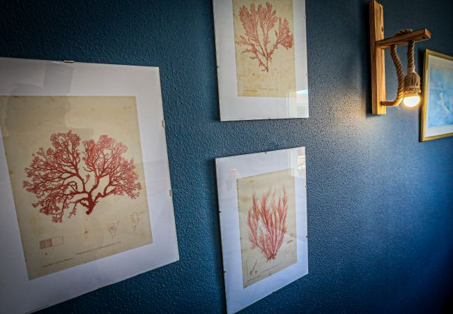 Apartamento en Cambrils - MACAPO Apartamento en Cambrils - MACAPO