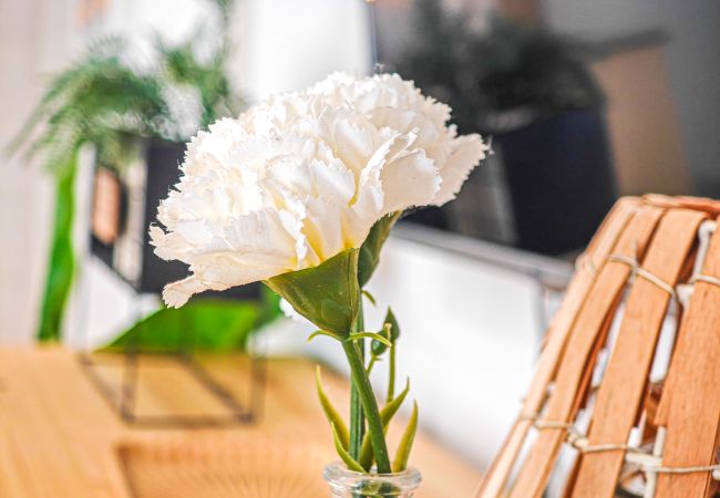 Apartamento en Salou - JARDIN BABILONIA Apartamento en Salou - JARDIN BABILONIA