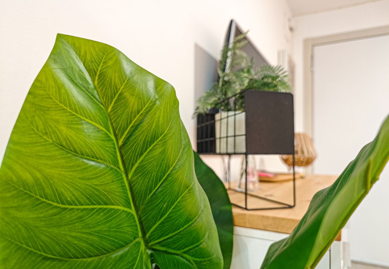 Apartamento en Salou - JARDIN BABILONIA