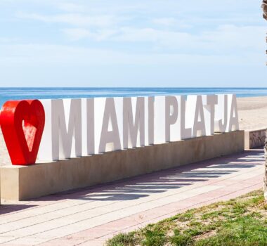 Miami Playa con perros