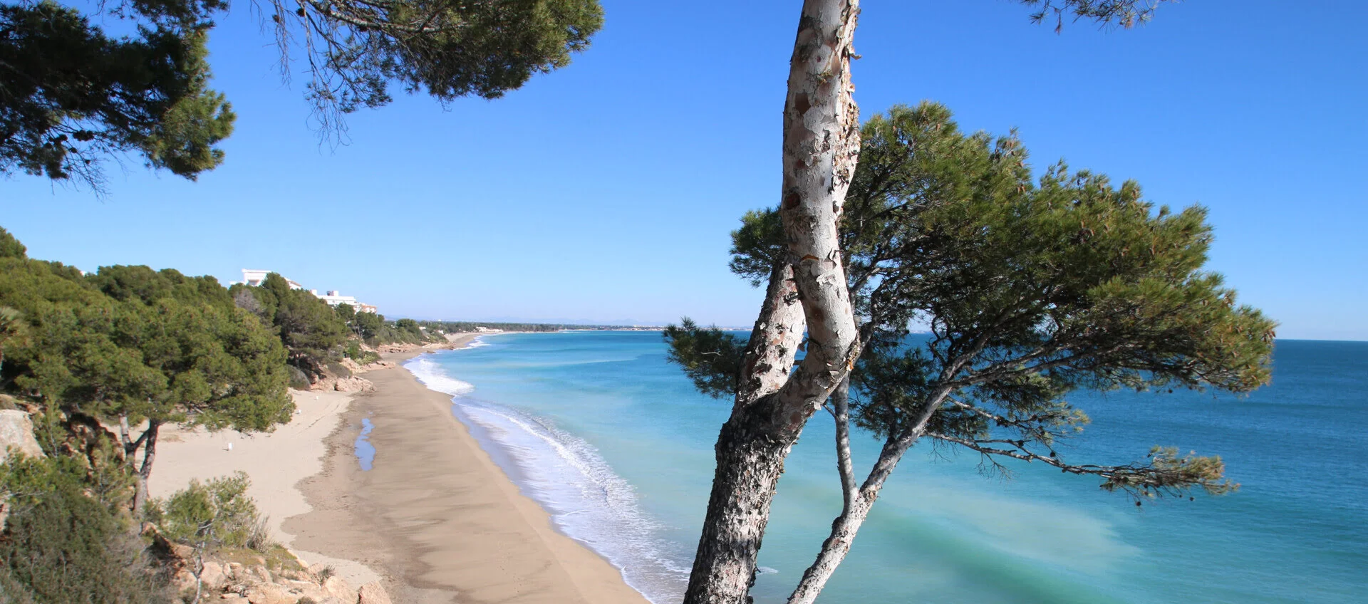 calas en miami playa