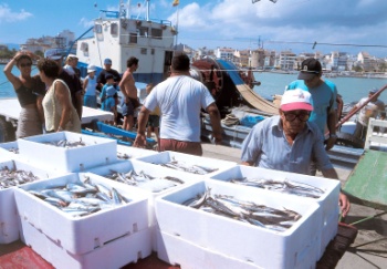 visite du marché de Cambrils