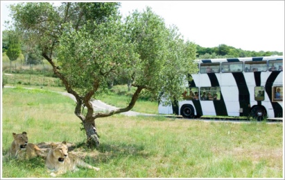 Wasserpark Aqualeon an der Costa Dorada