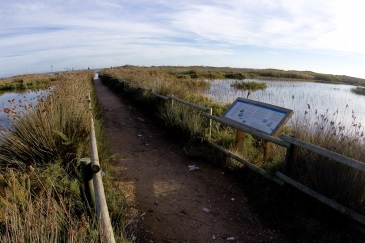 Espacio natural Els Muntanyans , Costa Dorada