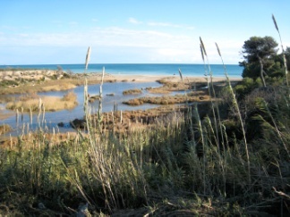 paisaje de la Costa Dorada