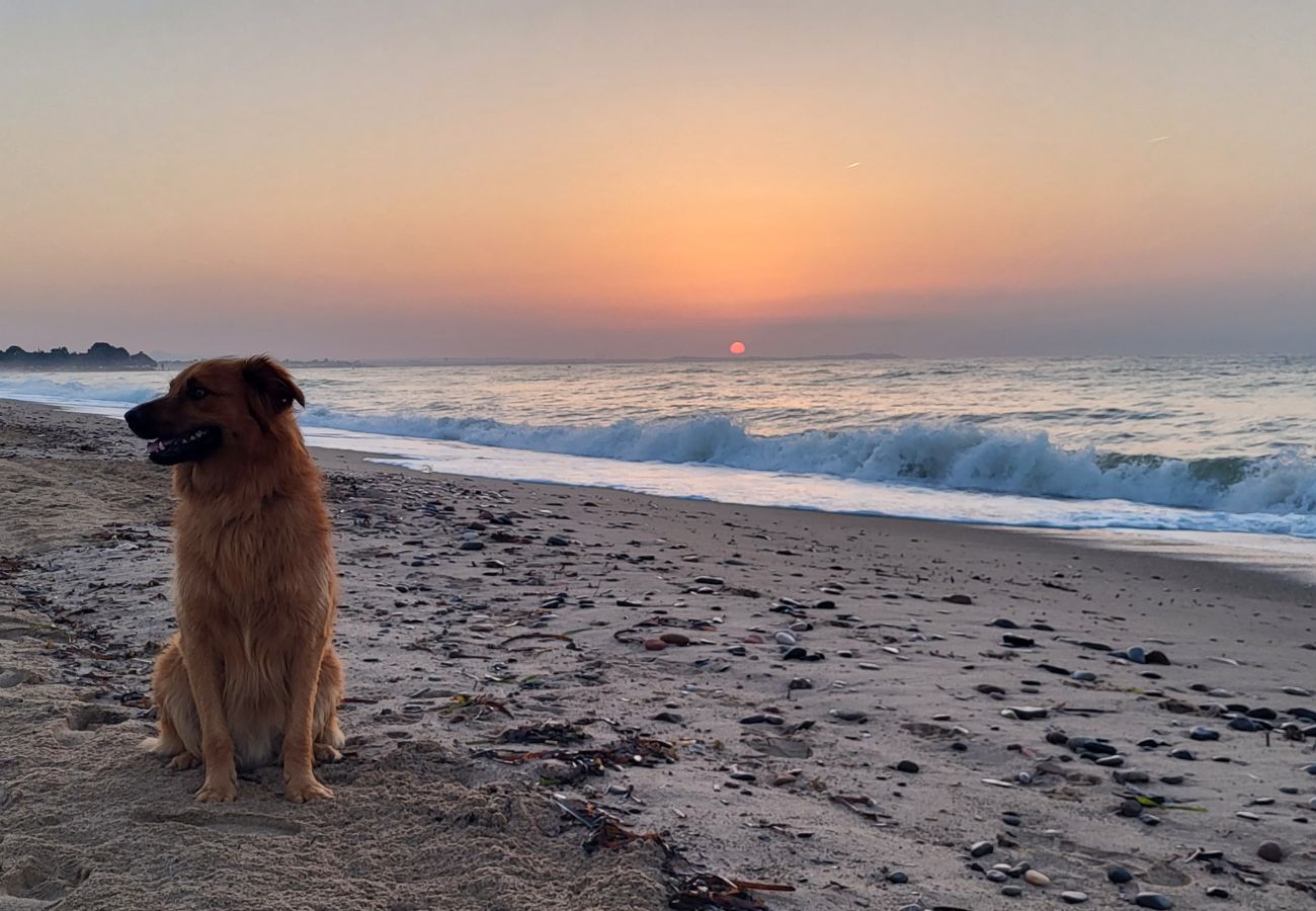 Ferienwohnung in Miami Playa - Villa Adriana C A205, Parc Mont-roig