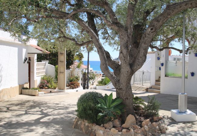 Ferienwohnung in Miami Playa - Estudio 7 Ferienwohnung in Miami Playa - Estudio 7