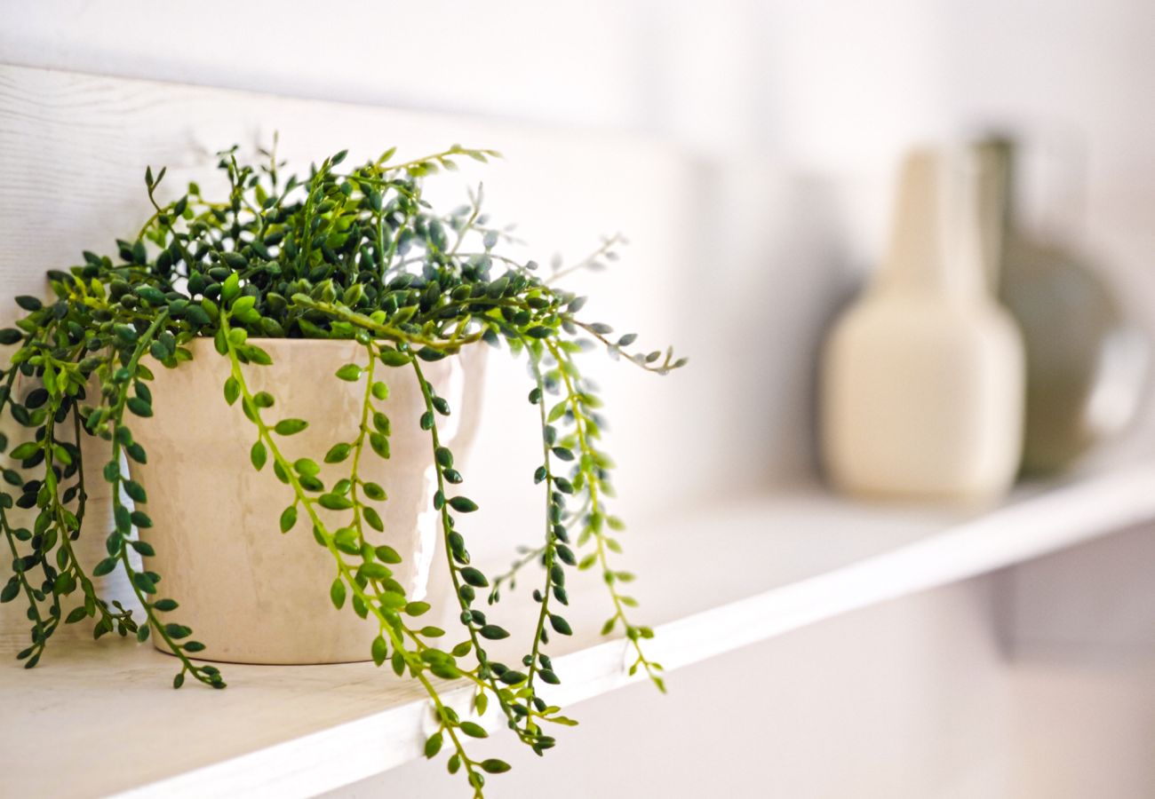 Ferienwohnung in Cambrils - BLAU MAR CAYOCOCO