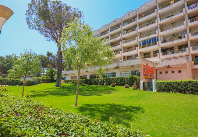 Ferienwohnung in Salou - CATALUNYA DONNA Ferienwohnung in Salou - CATALUNYA DONNA