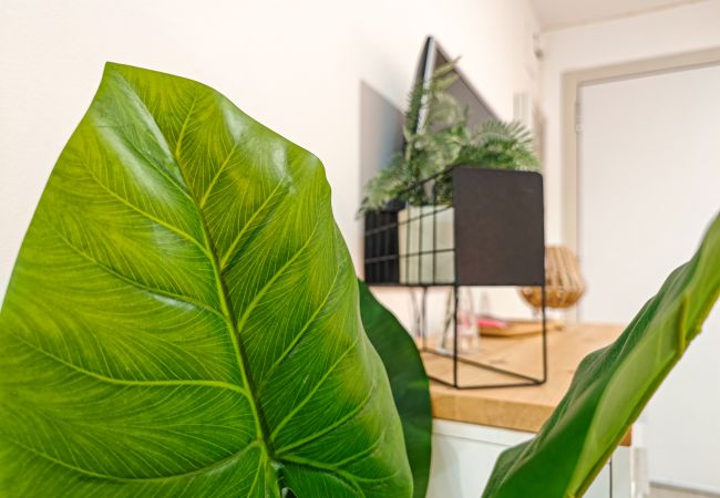 Ferienwohnung in Salou - JARDIN BABILONIA Ferienwohnung in Salou - JARDIN BABILONIA