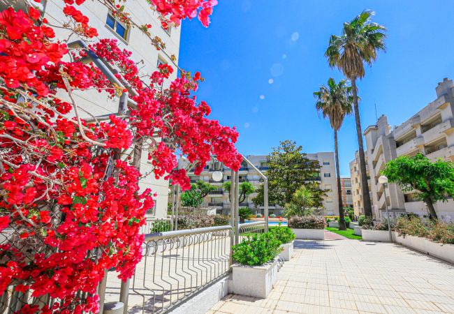 Apartment in Cambrils - CAMBRILS PARK B 2 B Apartment in Cambrils - CAMBRILS PARK B 2 B