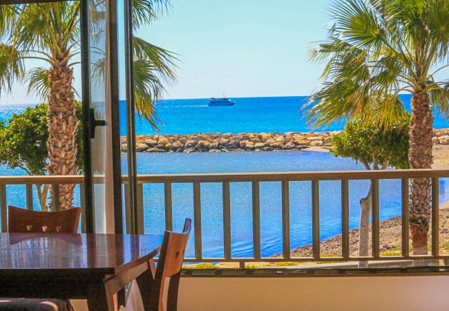 Apartment in Cambrils - GLADIOLS Apartment in Cambrils - GLADIOLS