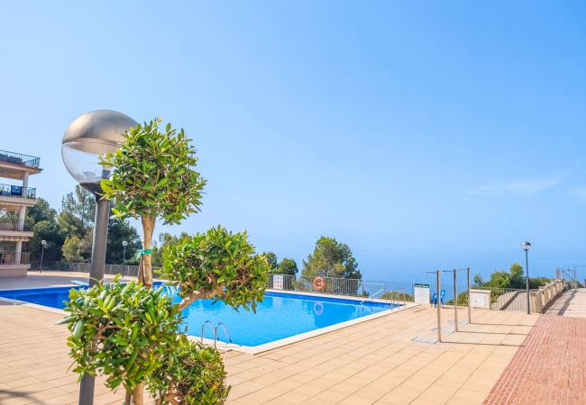Apartment in Salou - CABO PALOS  4 2 2 Apartment in Salou - CABO PALOS  4 2 2