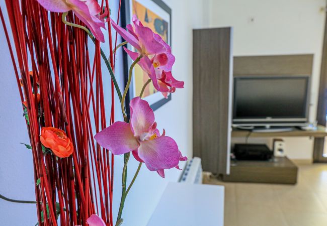 Apartment in Cambrils - LA SALLE 36 4º1º Apartment in Cambrils - LA SALLE 36 4º1º