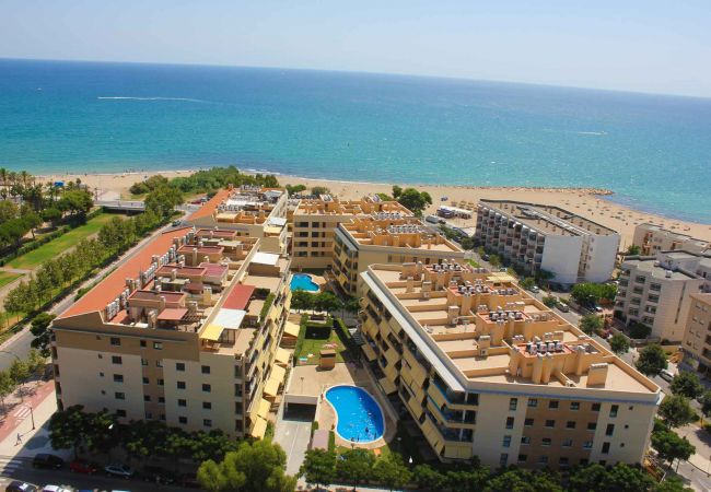 Apartment in Cambrils - Paradis 33 2 2 Apartment in Cambrils - Paradis 33 2 2