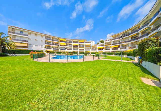 Apartment in Cambrils - OLIMPIC BAJOS 19 Apartment in Cambrils - OLIMPIC BAJOS 19