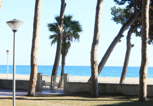 Apartment in Cambrils - PINS I MAR BAJOS Apartment in Cambrils - PINS I MAR BAJOS