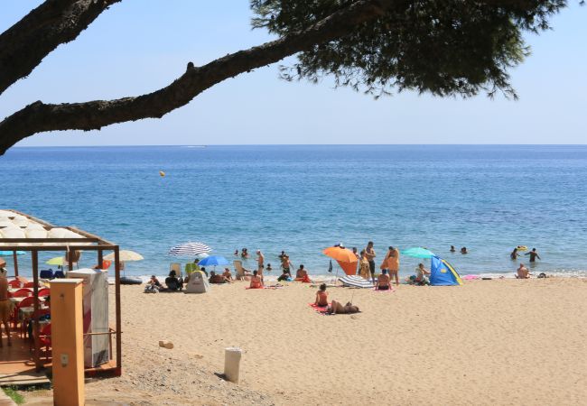 House in Miami Playa - CASAS BLANCAS 57 House in Miami Playa - CASAS BLANCAS 57