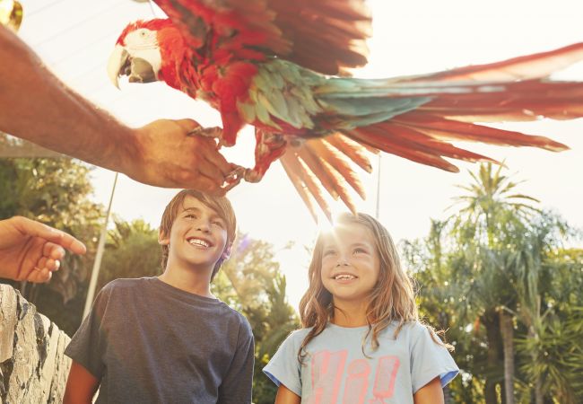 Villa in Cambrils - Villa Milos Cambrils Villa in Cambrils - Villa Milos Cambrils