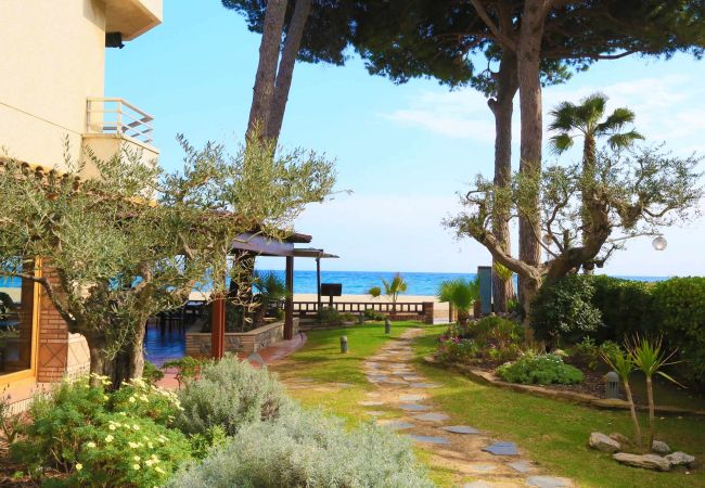 Apartment in Cambrils - TUCAN 406 Apartment in Cambrils - TUCAN 406