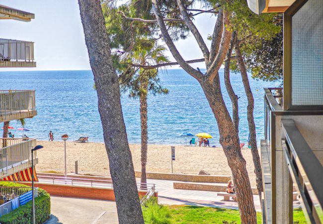 Apartment in Cambrils - TXINGUDI  3 2 Apartment in Cambrils - TXINGUDI  3 2