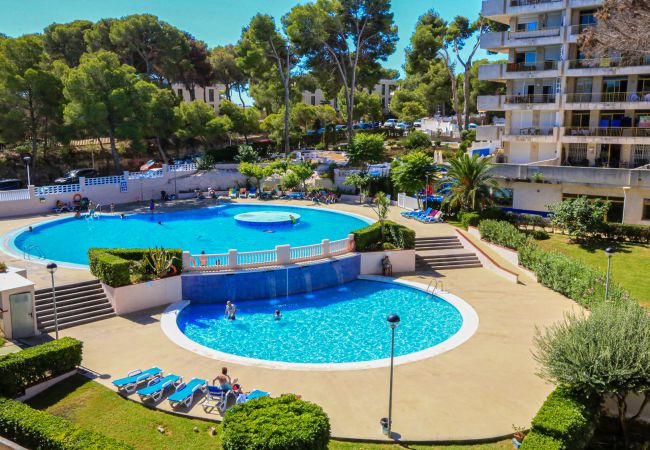 Apartment in Salou - CATALUNYA DONNA Apartment in Salou - CATALUNYA DONNA
