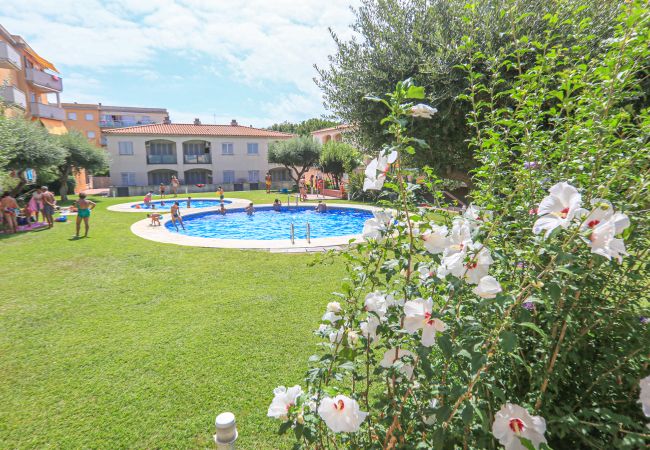 Apartment in Cambrils - SOL MILLET 63 bjs 5 Apartment in Cambrils - SOL MILLET 63 bjs 5