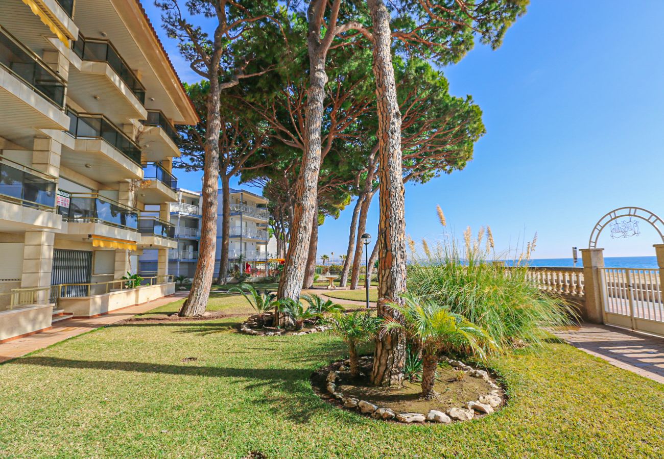 Appartement à Cambrils - VERSALLES  A 3er 1ra