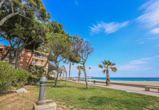 Appartement à Cambrils - TXINGUDI  3 2 Appartement à Cambrils - TXINGUDI  3 2