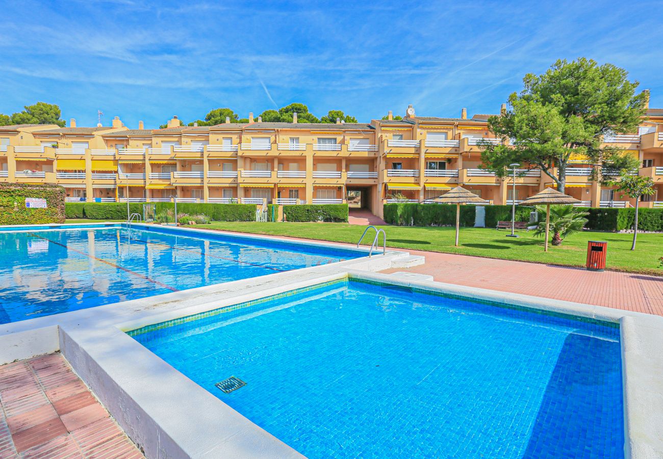 Appartement à Miami Playa - GUARDAMAR  A 202
