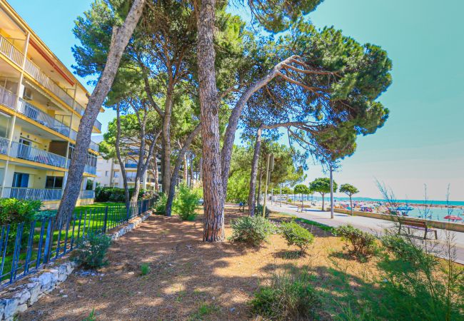 Appartement à Cambrils - MIRAMAR BAJOS Appartement à Cambrils - MIRAMAR BAJOS