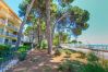 Appartement à Cambrils - MIRAMAR BAJOS Appartement à Cambrils - MIRAMAR BAJOS