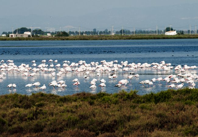 Вилла на Miami Playa - Villa Fatima by Parc Mont-roig Вилла на Miami Playa - Villa Fatima by Parc Mont-roig