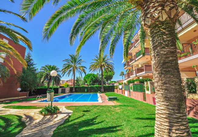  на Cambrils - CALIFORNIA