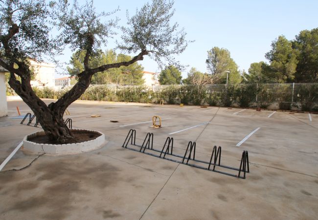 Апартаменты на Miami Playa - Apartamento Los Pelicanos Апартаменты на Miami Playa - Apartamento Los Pelicanos