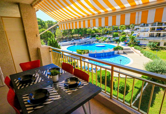 Апартаменты на Salou - CATALUNYA DONNA Апартаменты на Salou - CATALUNYA DONNA